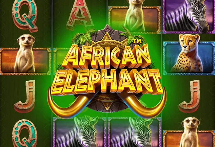 Jackpot progressif affiché sur une machine à sous Stars Casino.